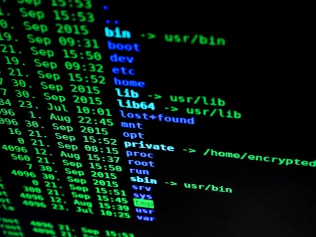 linux command